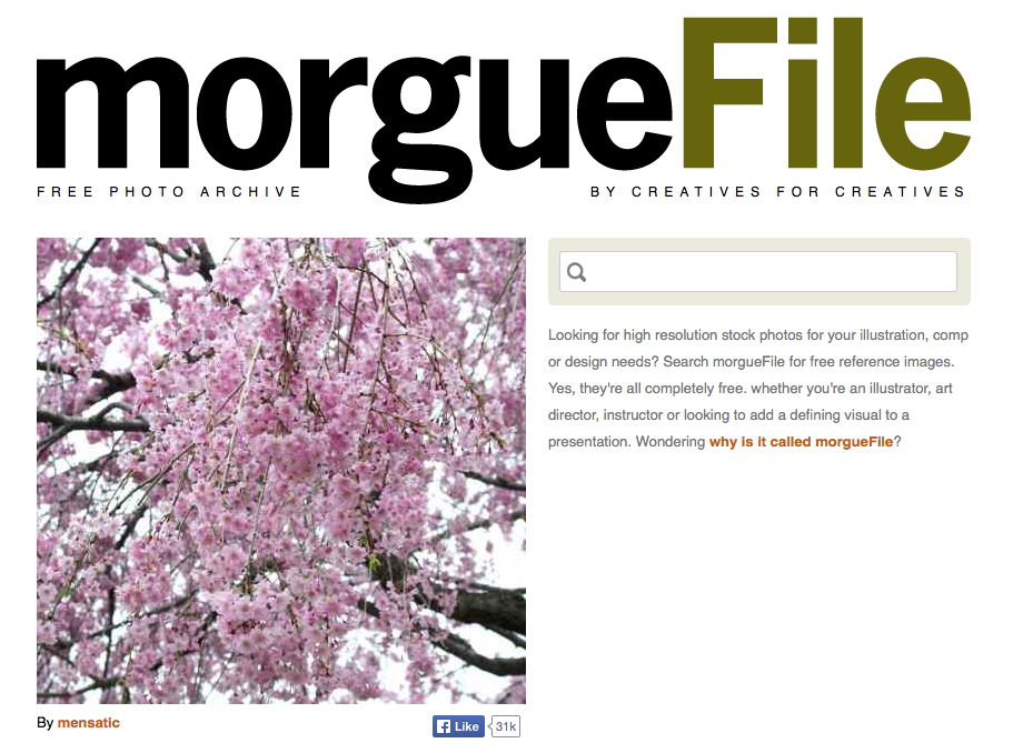 morguefile 19 sites para você encontrar imagens perfeitas para o seu blog (O #9 é meu favorito)